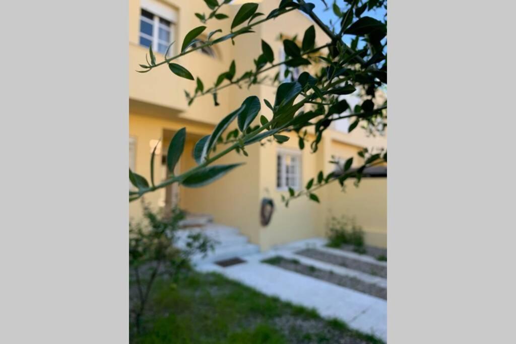 Casa De Lujo Con Piscina A 5 Minutos Andando Del Recinto Ferial Casa de Férias Jerez de la Frontera